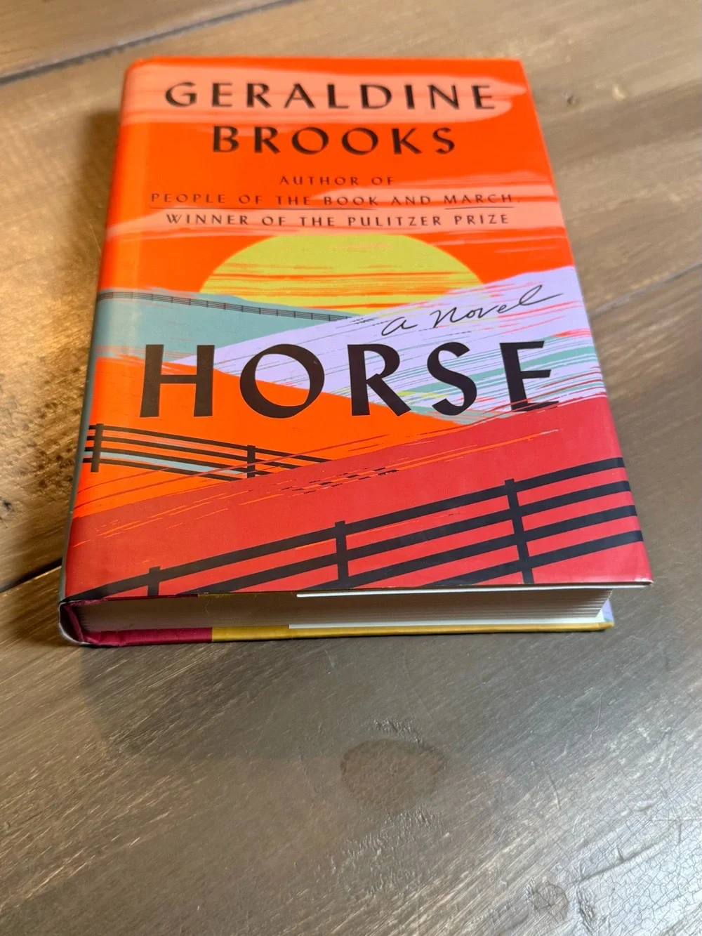 Horse Geraldine Brooks Hardcover Novel Dust Jacket Historical Fiction Book